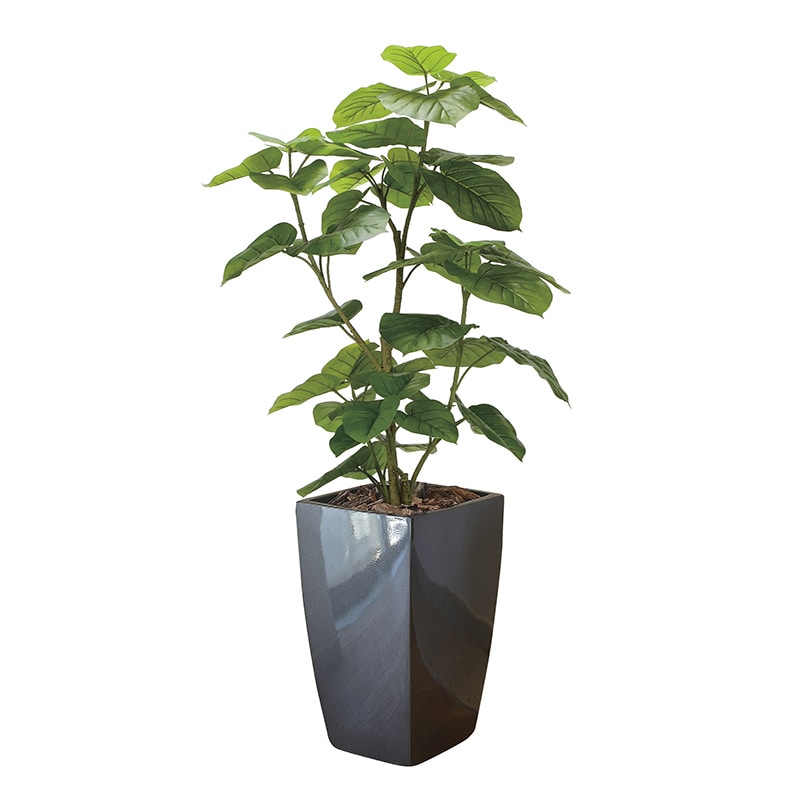 アートクリエーション 光の楽園 フェイクグリーン フレッシュDXウンベラータ 1.6m 2328M830 1個(ご注文単位1個)【直送品】