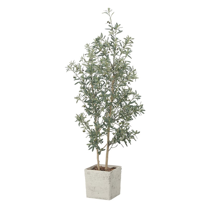 アートクリエーション 光の楽園 フェイクグリーン インテリアオリーブ 1.8m 2510A580 1個(ご注文単位1個)【直送品】