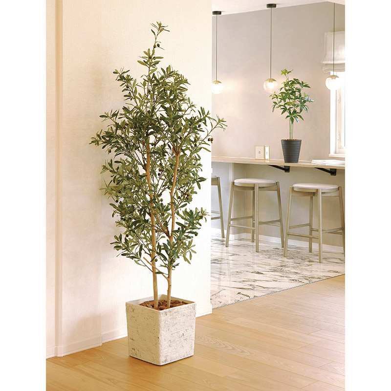 アートクリエーション 光の楽園 フェイクグリーン インテリアオリーブ 1.8m 2510A580 1個(ご注文単位1個)【直送品】
