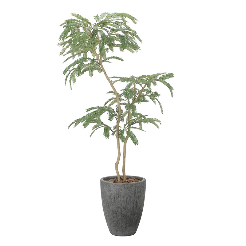 アートクリエーション 光の楽園 フェイクグリーン ナチュラルねむの木 1.8m 2511A780 1個(ご注文単位1個)【直送品】