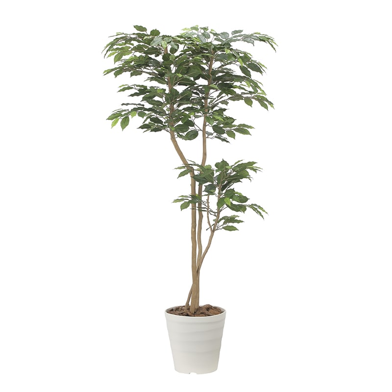 アートクリエーション 光の楽園 フェイクグリーン デザインベンジャミン 1.6m 2516A350 1個(ご注文単位1個)【直送品】