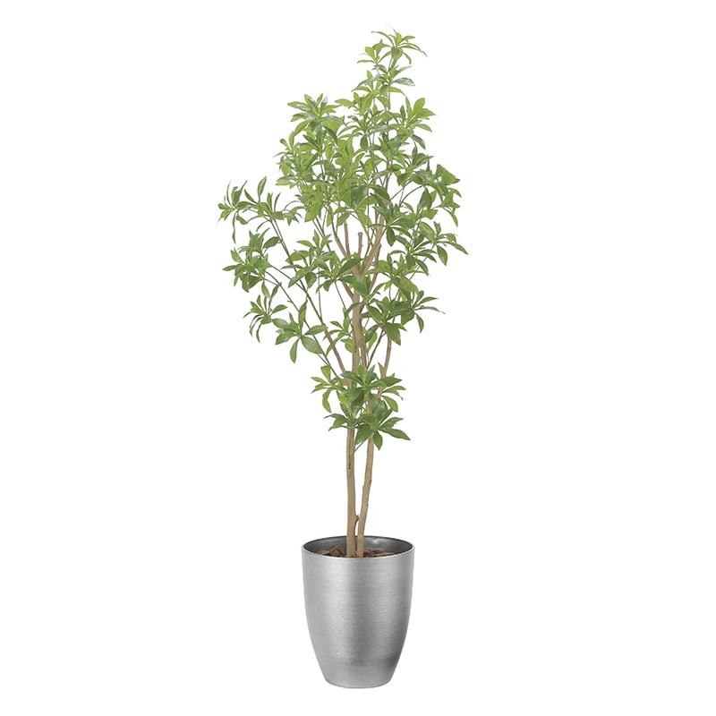 アートクリエーション 光の楽園 フェイクグリーン インテリアフレッシュアセビ 1.7m 2520A350 1個（ご注文単位1個）【直送品】