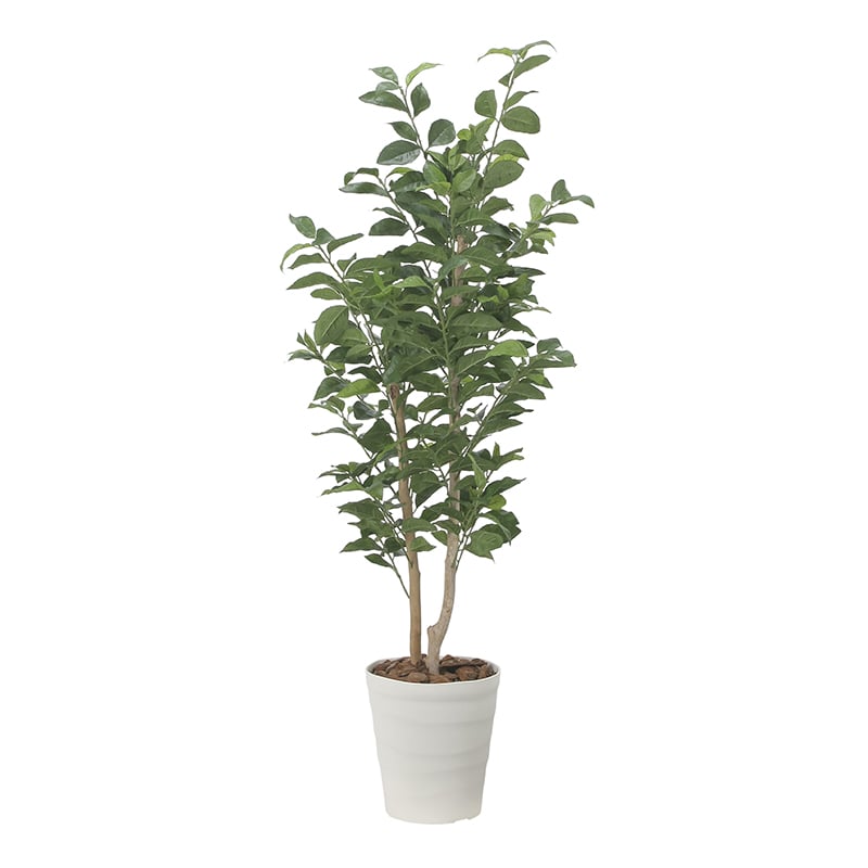 アートクリエーション 光の楽園 フェイクグリーン レモンの木 1.35m 2523A275 1個（ご注文単位1個）【直送品】