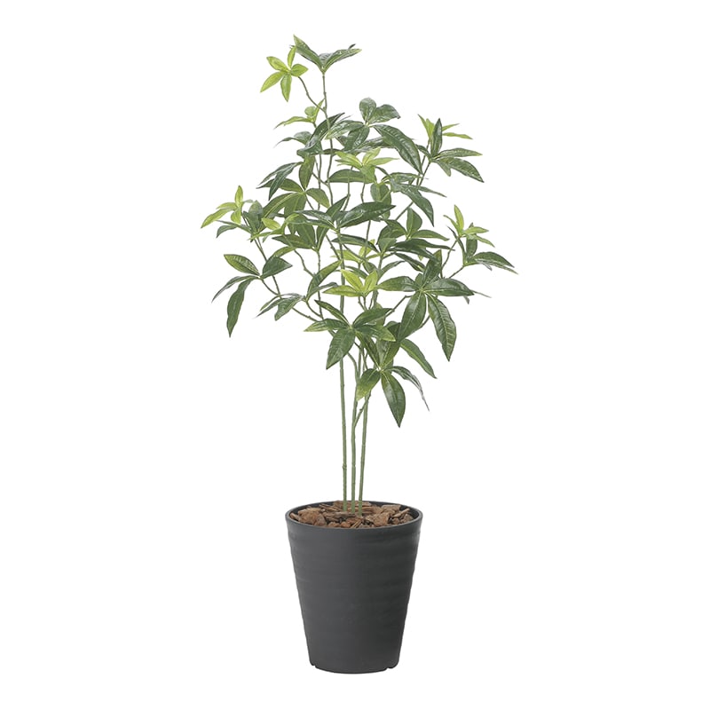 アートクリエーション 光の楽園 フェイクグリーン フレッシュパキラ 95cm 2525A100 1個（ご注文単位1個）【直送品】