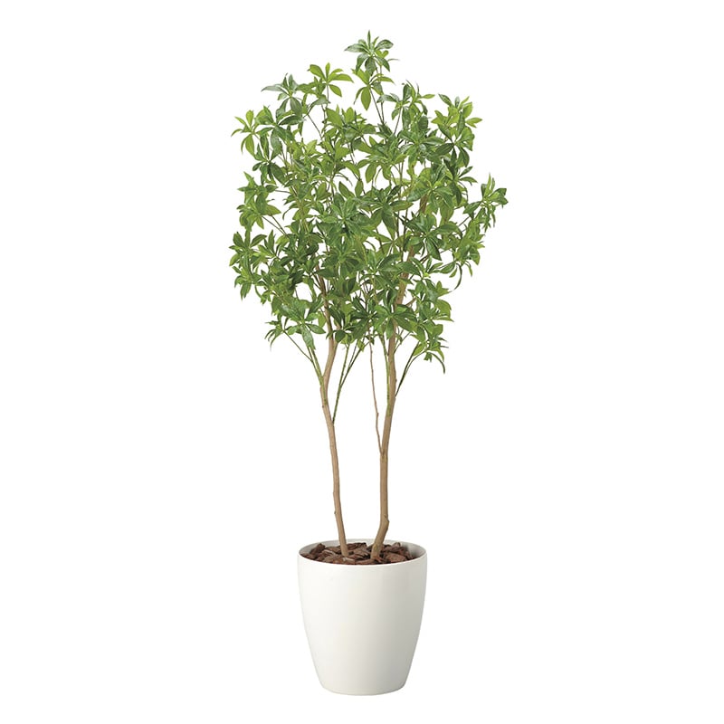 アートクリエーション 光の楽園 フェイクグリーン フレッシュアセビ 1.8m 2528A500 1個（ご注文単位1個）【直送品】