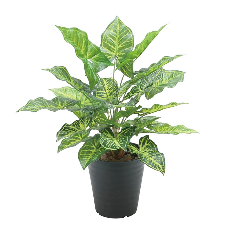 アートクリエーション 光の楽園 フェイクグリーン フレッシュシンゴニューム 2534A60 1個（ご注文単位1個）【直送品】