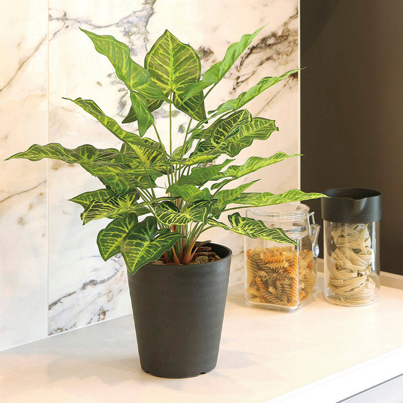 アートクリエーション 光の楽園 フェイクグリーン フレッシュシンゴニューム 2534A60 1個(ご注文単位1個)【直送品】