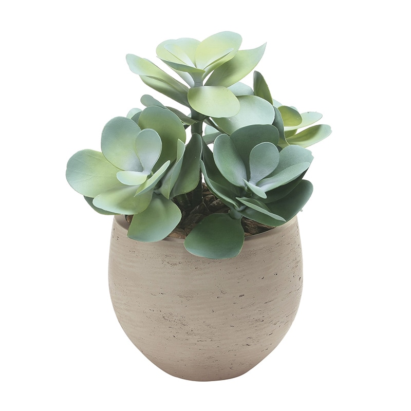 アートクリエーション 光の楽園 フェイクグリーン ビックマネーツリー ポリ製 2535A100 1個（ご注文単位1個）【直送品】