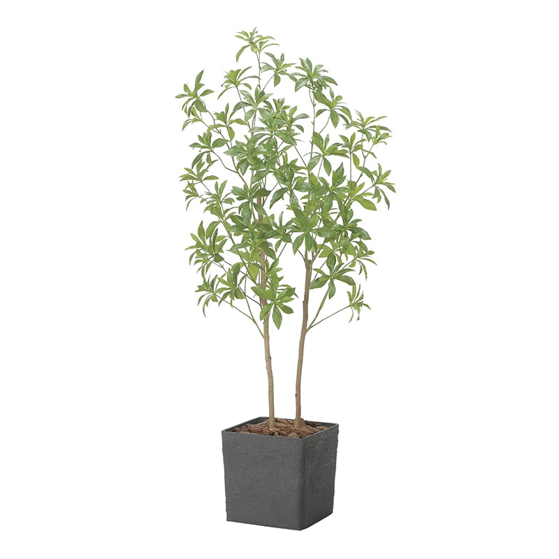 アートクリエーション 光の楽園 フェイクグリーン インテリアフレッシュアセビ 1.5m 2575A370 1個（ご注文単位1個）【直送品】