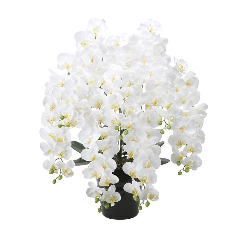アートクリエーション 光の楽園 アートフラワー フレッシュロング胡蝶蘭 7本立ち W 2578A500 1個（ご注文単位1個）【直送品】