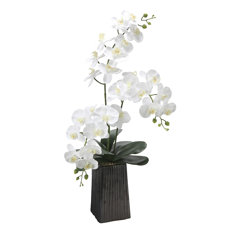 アートクリエーション 光の楽園 アートフラワー デザインフレッシュ胡蝶蘭 2579A200 1個（ご注文単位1個）【直送品】