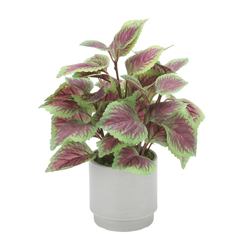 アートクリエーション 光の楽園 フェイクグリーン コリウス S 2598A40 1個（ご注文単位1個）【直送品】