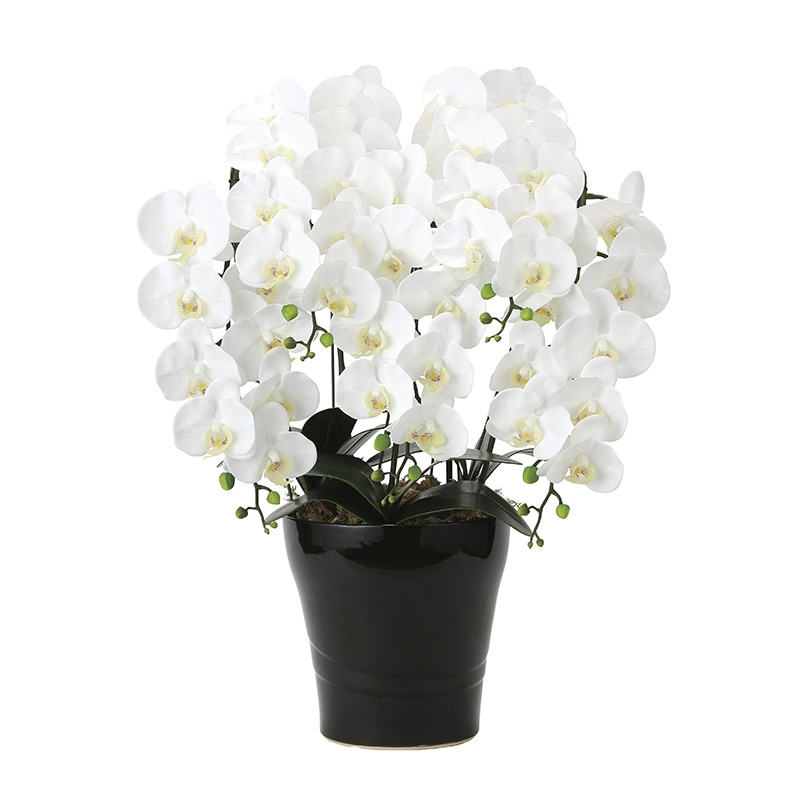 アートクリエーション 光の楽園 アートフラワー フレッシュ胡蝶蘭 5本立ち W 2044P220 1個（ご注文単位1個）【直送品】
