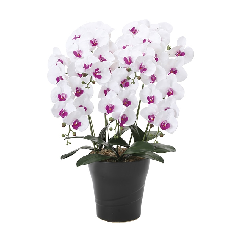 アートクリエーション 光の楽園 アートフラワー フレッシュ胡蝶蘭 5本立ち W／L 876P220 1個（ご注文単位1個）【直送品】