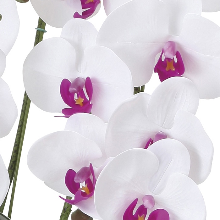 アートクリエーション 光の楽園 アートフラワー フレッシュ胡蝶蘭 5本立ち W/L 876P220 1個(ご注文単位1個)【直送品】