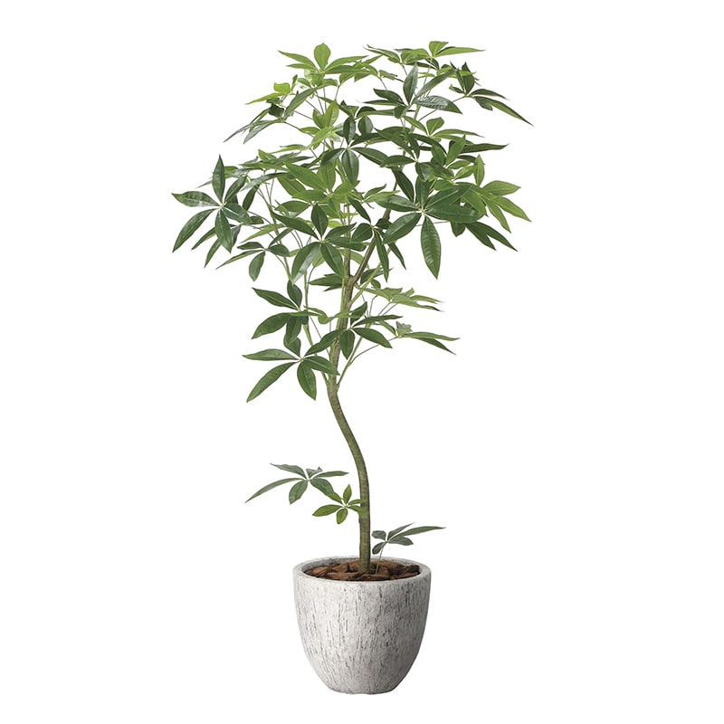 アートクリエーション 光の楽園 フェイクグリーン ナチュラルパキラ 1.6m 2400P580 1個（ご注文単位1個）【直送品】