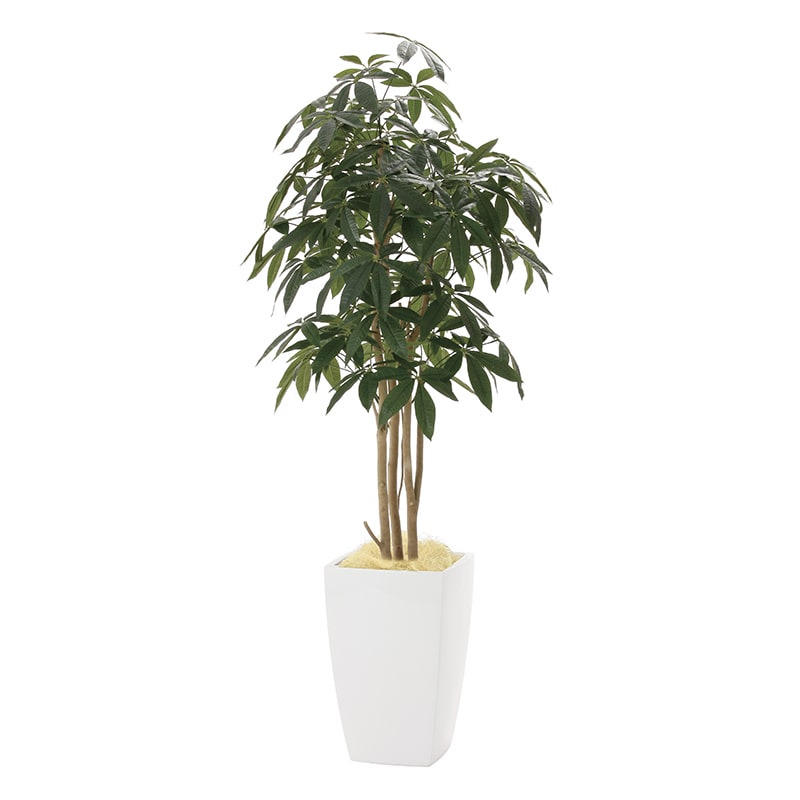 アートクリエーション 光の楽園 フェイクグリーン アーバンパキラ 1.8m 941P700 1個（ご注文単位1個）【直送品】