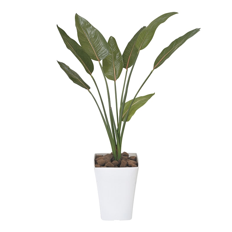 アートクリエーション 光の楽園 フェイクグリーン ストレチア 1.1m 196P230 1個（ご注文単位1個）【直送品】