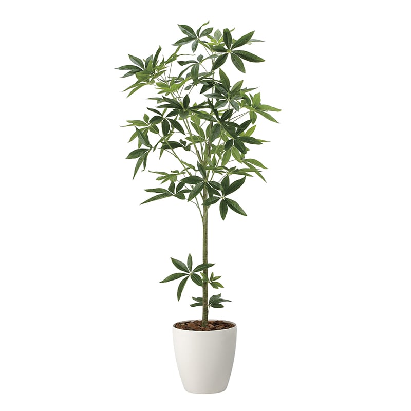 アートクリエーション 光の楽園 フェイクグリーン フレッシュパキラ 1.7m 2322P400 1個（ご注文単位1個）【直送品】