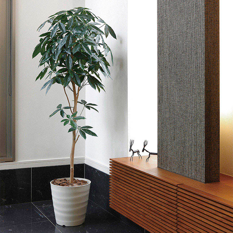 アートクリエーション 光の楽園 フェイクグリーン デザインパキラ 1.6m 2008P270 1個(ご注文単位1個)【直送品】