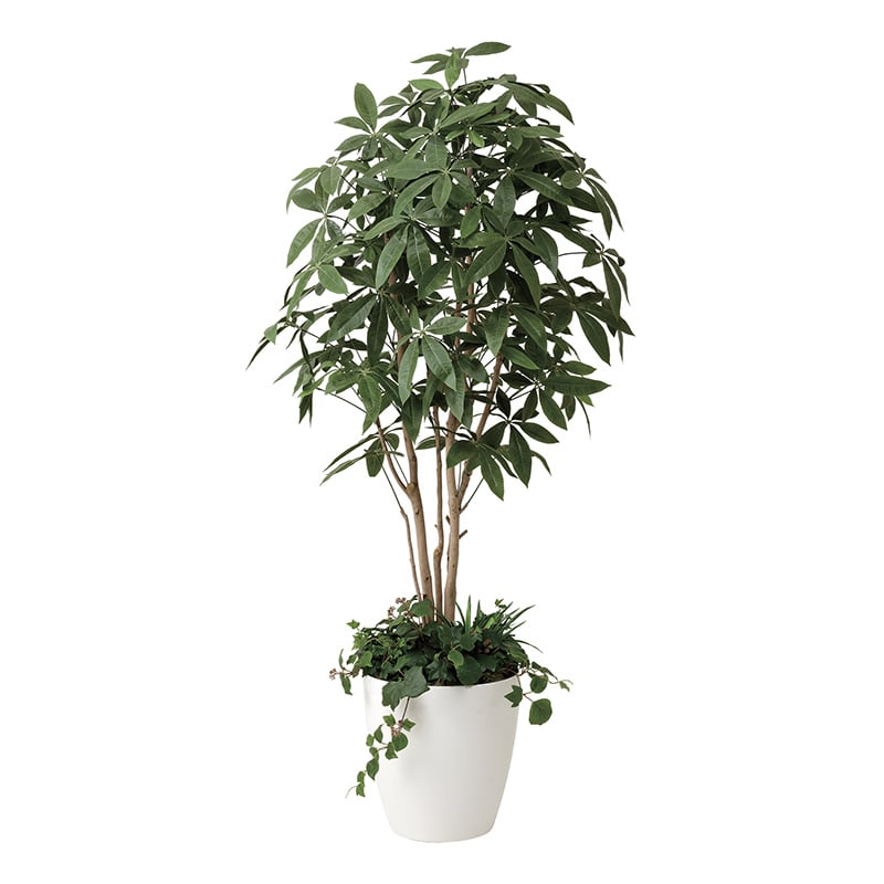 アートクリエーション 光の楽園 フェイクグリーン パキラ 1.8m 植栽付 412P515 1個（ご注文単位1個）【直送品】