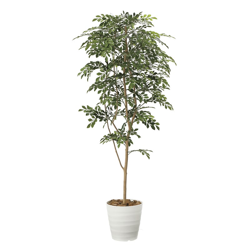 アートクリエーション 光の楽園 フェイクグリーン トネリコ 1.8m 2094P380 1個（ご注文単位1個）【直送品】