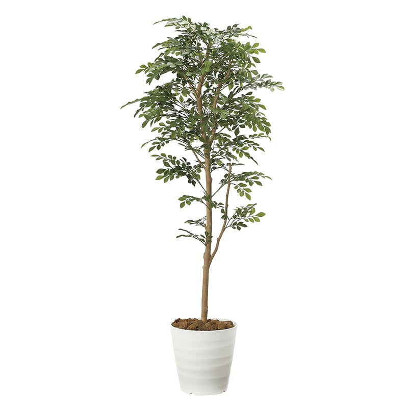 アートクリエーション 光の楽園 フェイクグリーン トネリコ 1.6m 2107P320 1個（ご注文単位1個）【直送品】