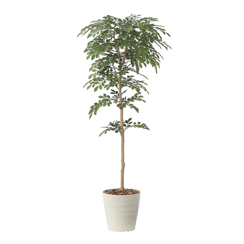 アートクリエーション 光の楽園 フェイクグリーン トネリコ 1.3m 2421P290 1個（ご注文単位1個）【直送品】