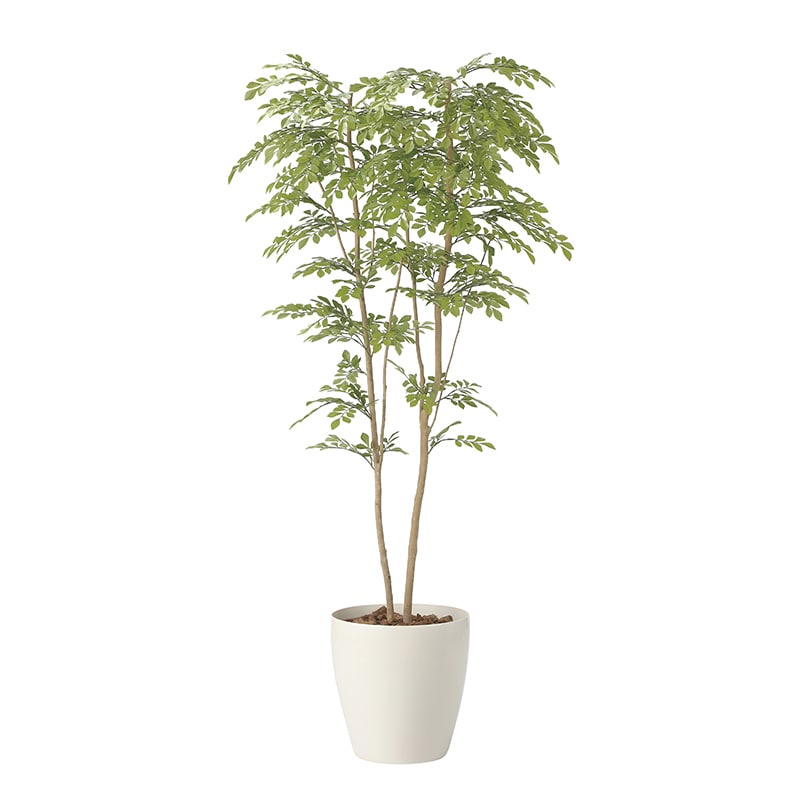 アートクリエーション 光の楽園 フェイクグリーン ライトトネリコ 1.8m 2413P470 1個（ご注文単位1個）【直送品】