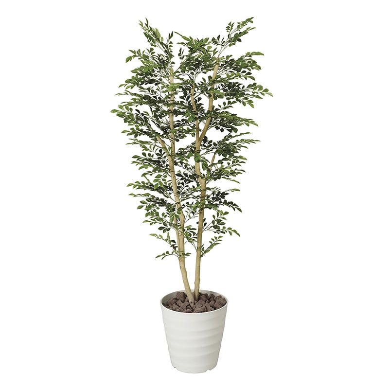 アートクリエーション 光の楽園 フェイクグリーン トネリコ 1.8m 146P500 1個（ご注文単位1個）【直送品】