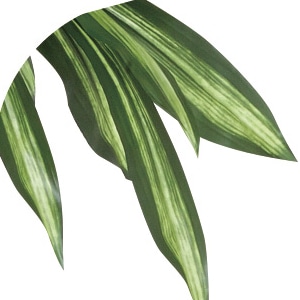 アートクリエーション 光の楽園 フェイクグリーン 幸福の木 1.6m 400P350 1個(ご注文単位1個)【直送品】