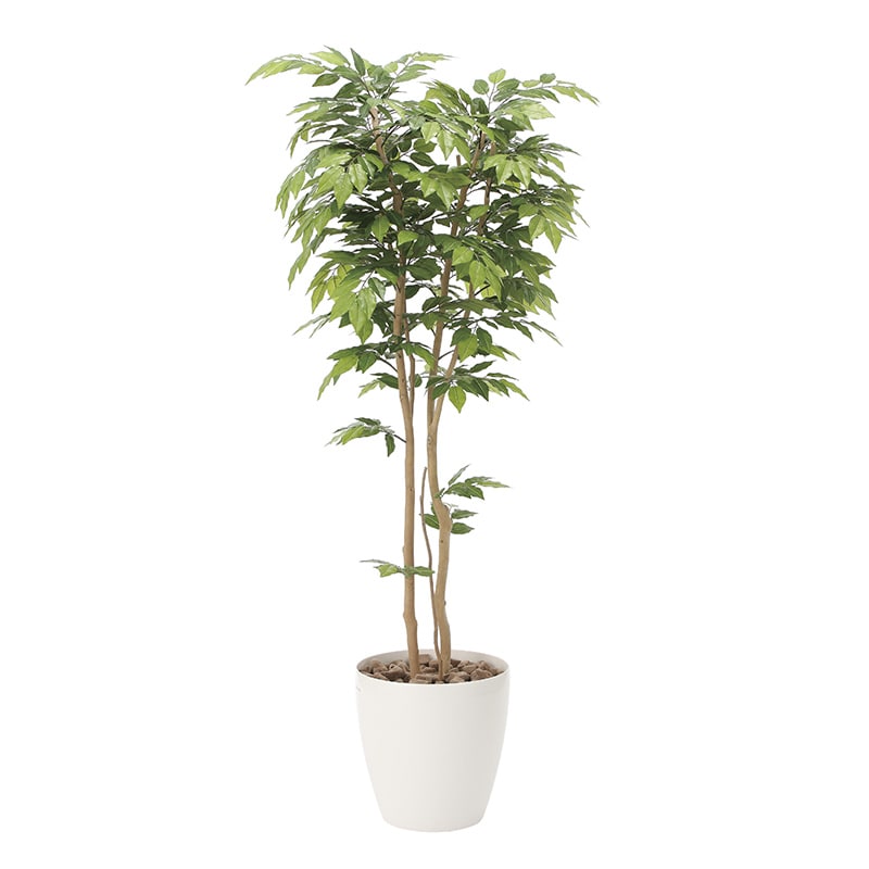 アートクリエーション 光の楽園 フェイクグリーン ケヤキ 1.8m 807P470 1個（ご注文単位1個）【直送品】