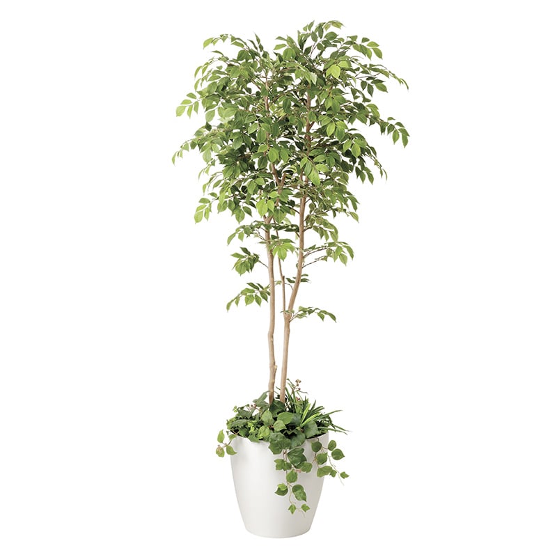 アートクリエーション 光の楽園 フェイクグリーン マウンテンアッシュ 1.8m 植栽付き 408P600 1個（ご注文単位1個）【直送品】