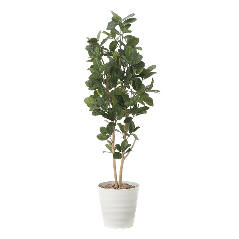 アートクリエーション 光の楽園 フェイクグリーン パンの木 1.6m 2391P400 1個（ご注文単位1個）【直送品】