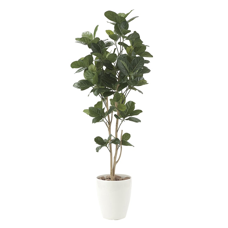 アートクリエーション 光の楽園 フェイクグリーン パンの木 1.25m 611P240 1個（ご注文単位1個）【直送品】