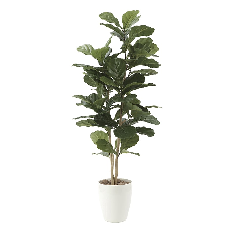 アートクリエーション 光の楽園 フェイクグリーン カシワバゴム 1.35m 609P250 1個（ご注文単位1個）【直送品】