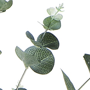 アートクリエーション 光の楽園 フェイクグリーン ユーカリ 1.25m 370P220 1個(ご注文単位1個)【直送品】