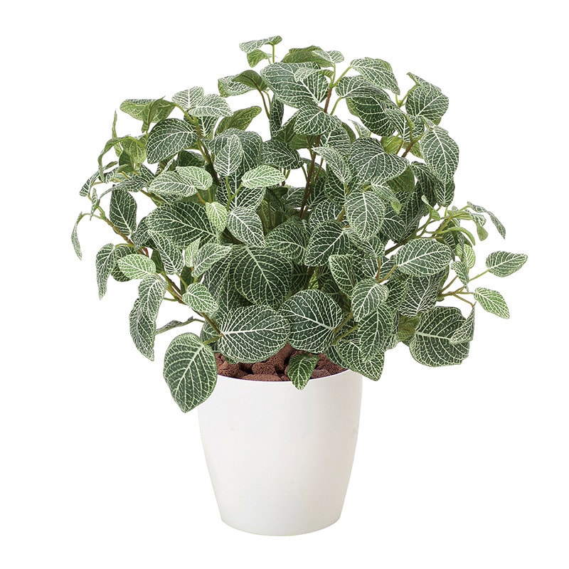 アートクリエーション 光の楽園 フェイクグリーン フィットニア M フロック加工 832P100 1個（ご注文単位1個）【直送品】