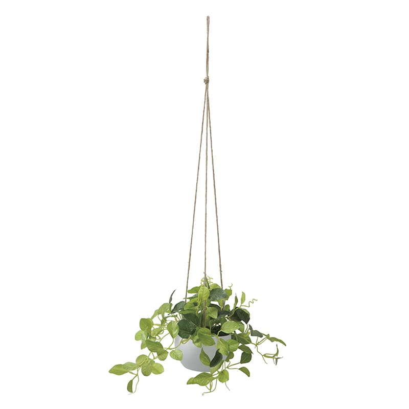 アートクリエーション 光の楽園 アートフラワー チャーリーハンギング 2582A50 1個（ご注文単位1個）【直送品】