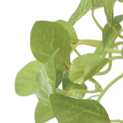 アートクリエーション 光の楽園 アートフラワー チャーリーハンギング 2582A50 1個(ご注文単位1個)【直送品】