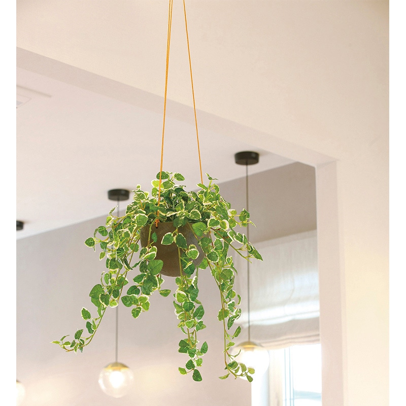 アートクリエーション 光の楽園 アートフラワー プミラハンギング 2583A150 1個(ご注文単位1個)【直送品】