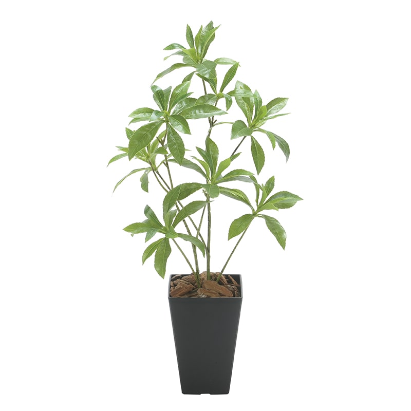 アートクリエーション 光の楽園 アートフラワー フレッシュアセビ 2507 A55 1個（ご注文単位1個）【直送品】