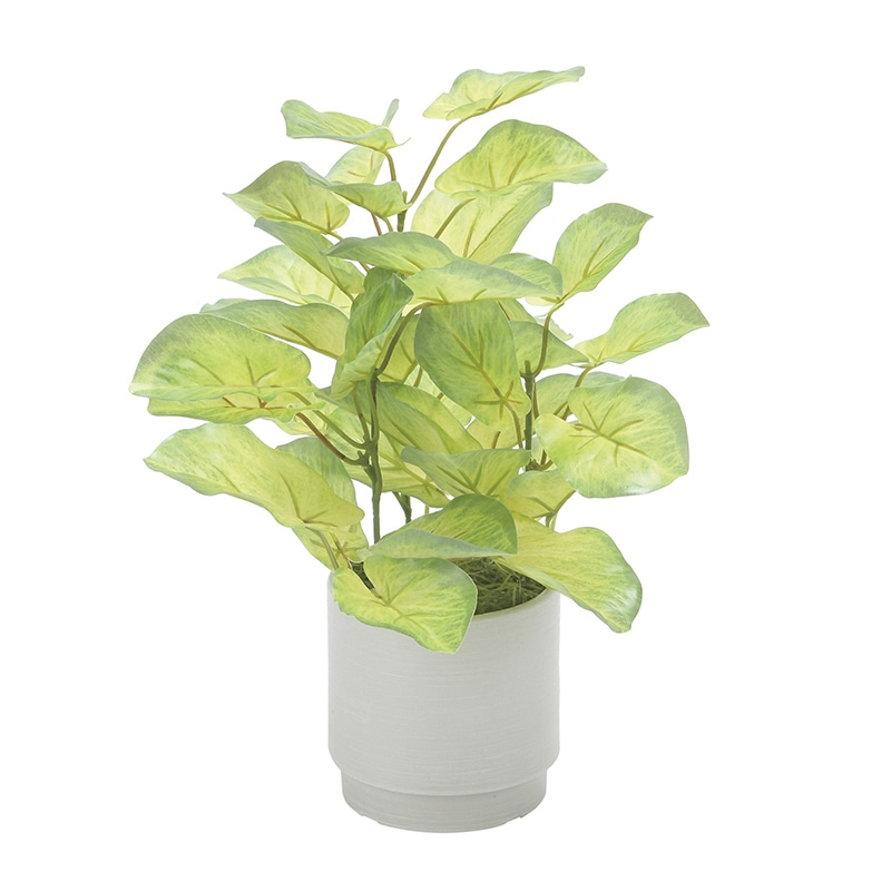 アートクリエーション 光の楽園 フェイクグリーン フレッシュバウヒニア S 2580A40 1個（ご注文単位1個）【直送品】