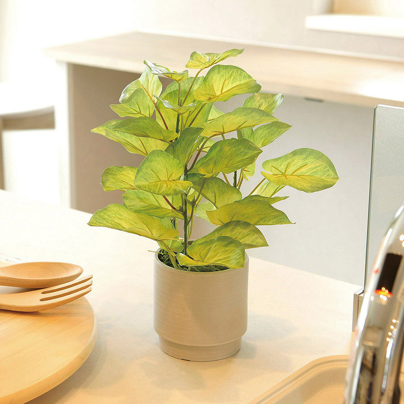 アートクリエーション 光の楽園 フェイクグリーン フレッシュバウヒニア S 2580A40 1個(ご注文単位1個)【直送品】