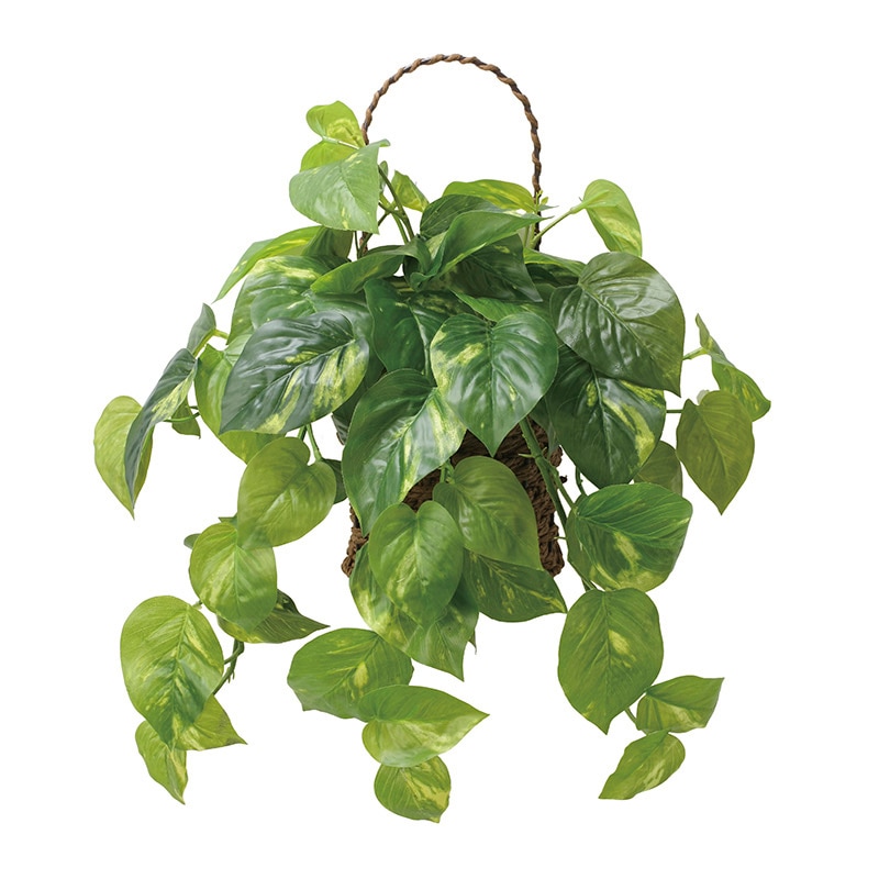 アートクリエーション 光の楽園 フェイクグリーン 壁掛けフレッシュポトス 2599A65 1個（ご注文単位1個）【直送品】