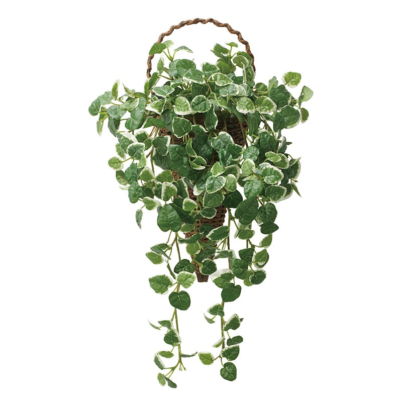 アートクリエーション 光の楽園 フェイクグリーン 壁掛けプミラ 2585A95 1個（ご注文単位1個）【直送品】