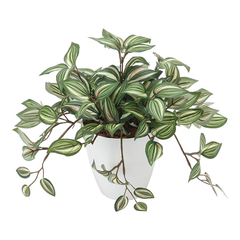 アートクリエーション 光の楽園 フェイクグリーン トラディスカンティア 2042P50 1個（ご注文単位1個）【直送品】