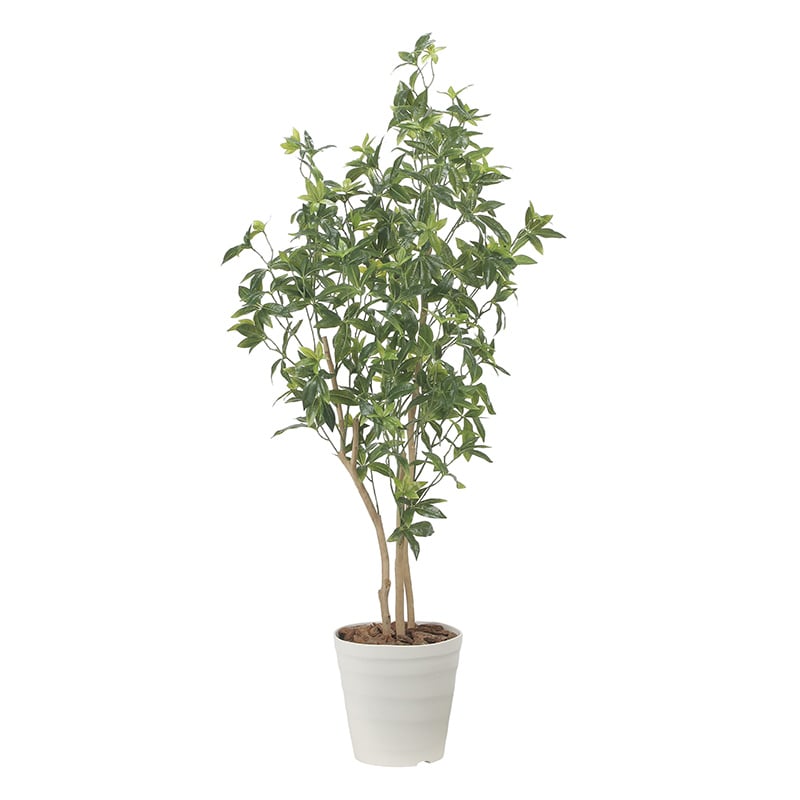 アートクリエーション 光の楽園 フェイクグリーン デラックスフレッシュパキラ 1.6m 2601A480 1個（ご注文単位1個）【直送品】