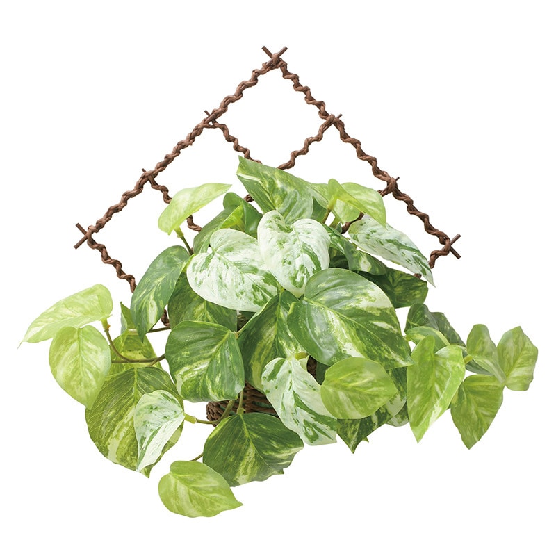 アートクリエーション 光の楽園 フェイクグリーン 壁掛けフレッシュマーブルポトス 2604A55 1個（ご注文単位1個）【直送品】