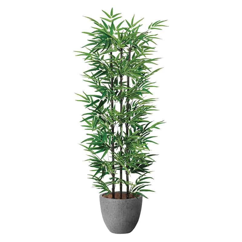 アートクリエーション 光の楽園 フェイクグリーン ナチュラル黒竹 1.6m 2504R430 1個（ご注文単位1個）【直送品】